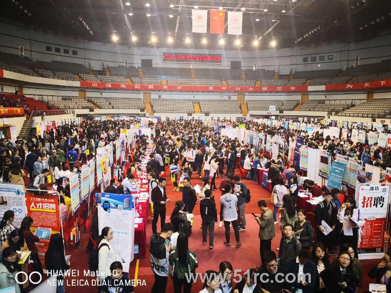 齐鲁人才：3月31日山东大学2018届毕业生就业招聘会