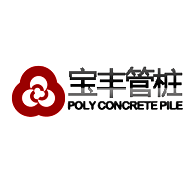 宁夏宝丰集团有限公司logo