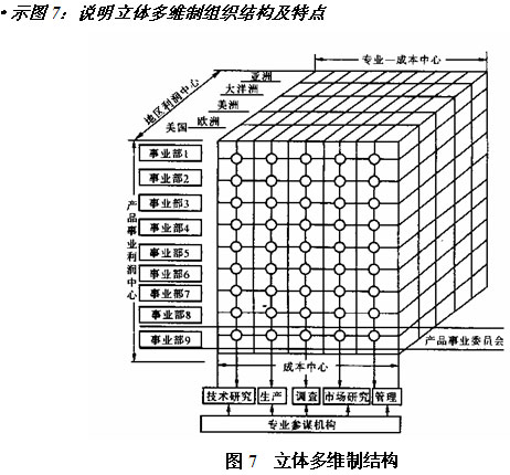 立体多维制组织适用于从事大规模生产经营而又需要保持灵活反应的