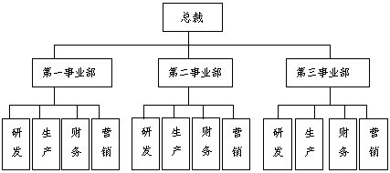 图1-3 事业部结构图