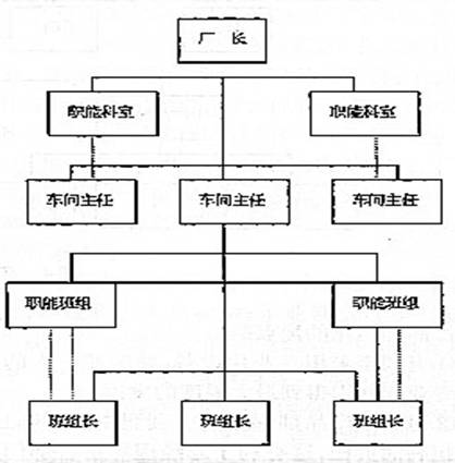 直线-职能制组织结构简图图片