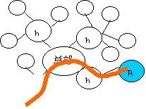 未来企业组织结构的演进――谈网状组织结构