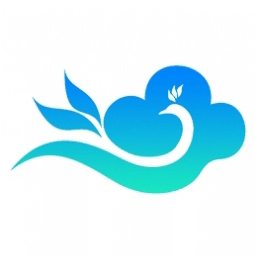 山東云大網絡科技有限公司logo