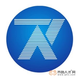 山東同坤電力設計有限公司logo