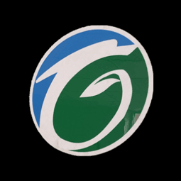 山東冠嘉環境監測有限公司logo