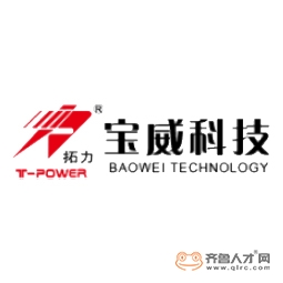 威海寶威新材料科技有限公司logo