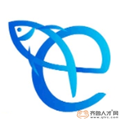 山東飛魚網絡技術有限公司logo