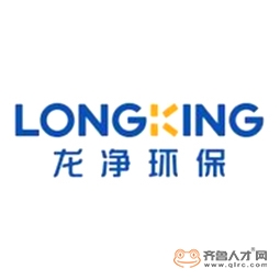 福建龍凈環保股份有限公司logo