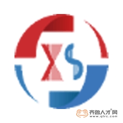 山東信晟科技有限公司logo