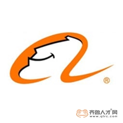 山東硅石網絡技術有限公司logo