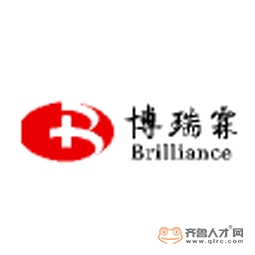 北京博瑞霖醫療管理咨詢有限公司logo