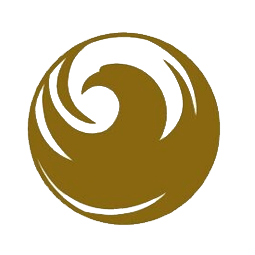 泰安市大展城市發展有限公司logo