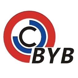濟南博宇軸承有限公司logo