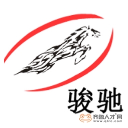 濟南駿馳信息技術有限公司logo
