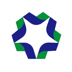 山東勝星化工有限公司logo