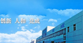山东新和成药业有限公司
