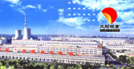 山东太阳纸业股份有限公司     
