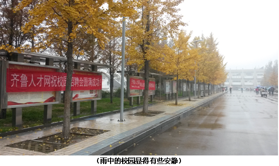 雨中的校園顯得有些安靜.png