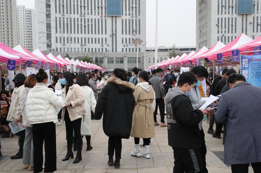 齐鲁人才-潍坊科技学院2020年校园招聘会成功举办