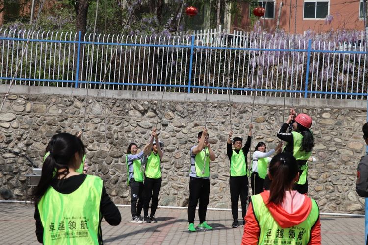 齐鲁人才网:“凝心聚力，共赢未来”！齐鲁人才网&梧桐果2019年4月拓展活动！