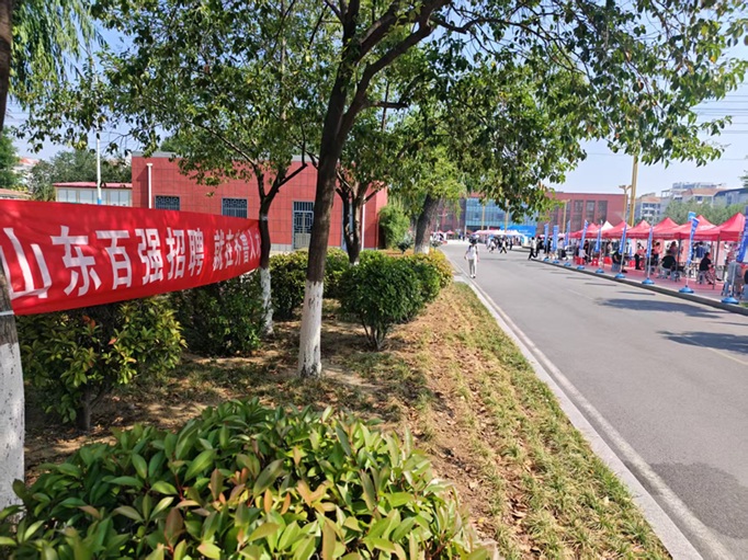 齐鲁人才网:5月20日，
