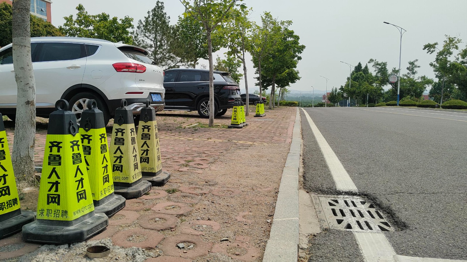 齐鲁人才网:选择济南 职通未来”莱芜职业技术学院 2025双选会圆满收官！