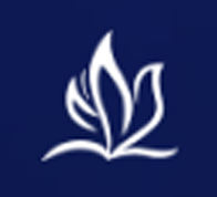 合肥薪火信息科技有限公司Logo