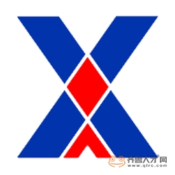 山东先行电子信息技术有限公司logo