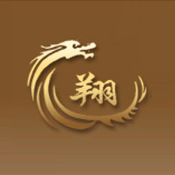 济宁市龙翔房地产开发有限公司logo