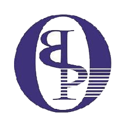 山东京北方金融科技有限公司logo
