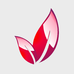 潍坊宸瑞信息科技有限公司logo