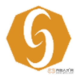 山东四维远见信息技术股份有限公司logo