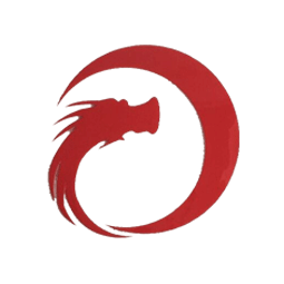泰安辰龙投资有限公司logo