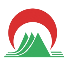 山东泰安交通运输集团有限公司logo