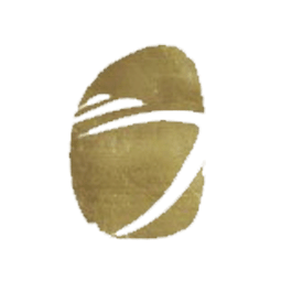威海市金运游艇有限公司logo