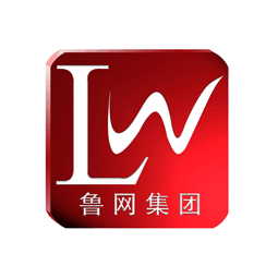 山东鲁网电子科技集团有限公司logo