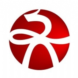 山东大齐通信电子有限公司logo