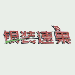 山东银装速果装饰有限公司logo