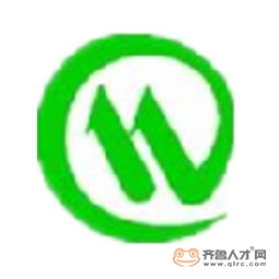 山东望声电子科技有限公司logo