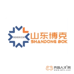 山东博克自控技术有限公司logo