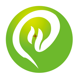 山东莱特光电科技有限公司logo