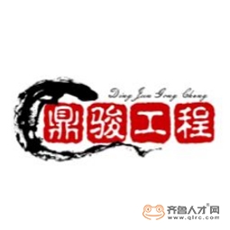 泰安市鼎骏工程机械有限公司logo