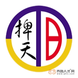 山东捭天互联网科技有限公司logo