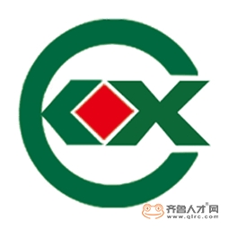 山东康信检测评价技术有限公司logo