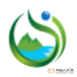 山东九盛检测科技有限公司logo