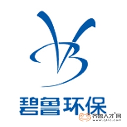 山东碧鲁环保科技有限公司logo