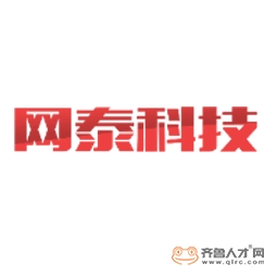 淄博网泰信息科技有限公司logo