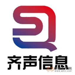 山东齐声信息科技有限公司logo