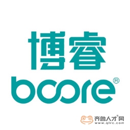 青州博睿包装科技有限公司logo