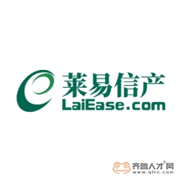 山东莱易信息产业股份公司logo